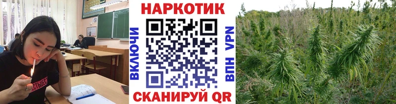 Конопля Михайловка